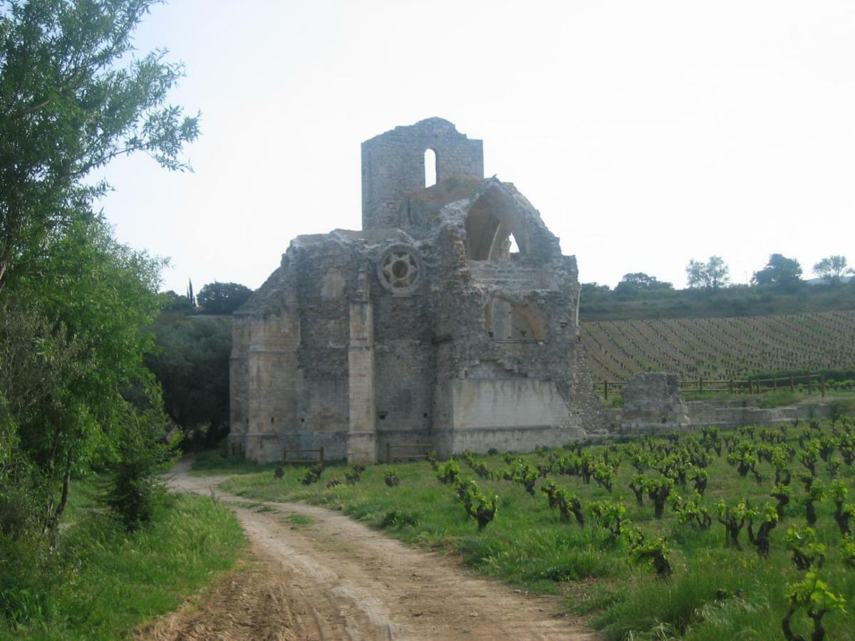 Maison De La Fontaine Embres-et-Castelmaure 외부 사진